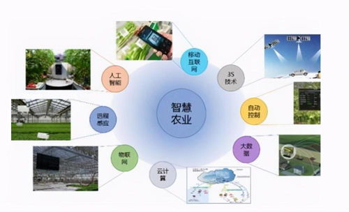 智慧農(nóng)業(yè)中的數(shù)據(jù)處理服務(wù) 賦能現(xiàn)代農(nóng)業(yè)的四大關(guān)鍵點