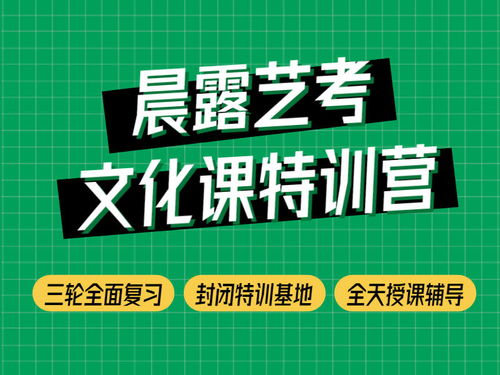 濟(jì)南晨露學(xué)校淺談山東藝考文化課不能忽視的問題